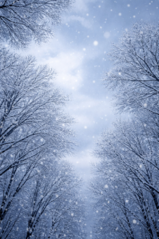 2月でも塗装できる？気温、湿度の見極めポイント