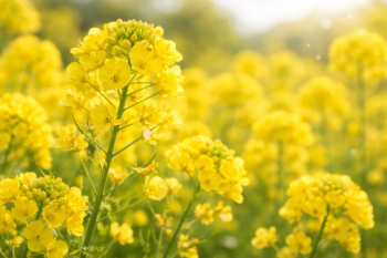 雨の日に外壁塗装をしない“本当の理由”｜乾かないだけじゃない！